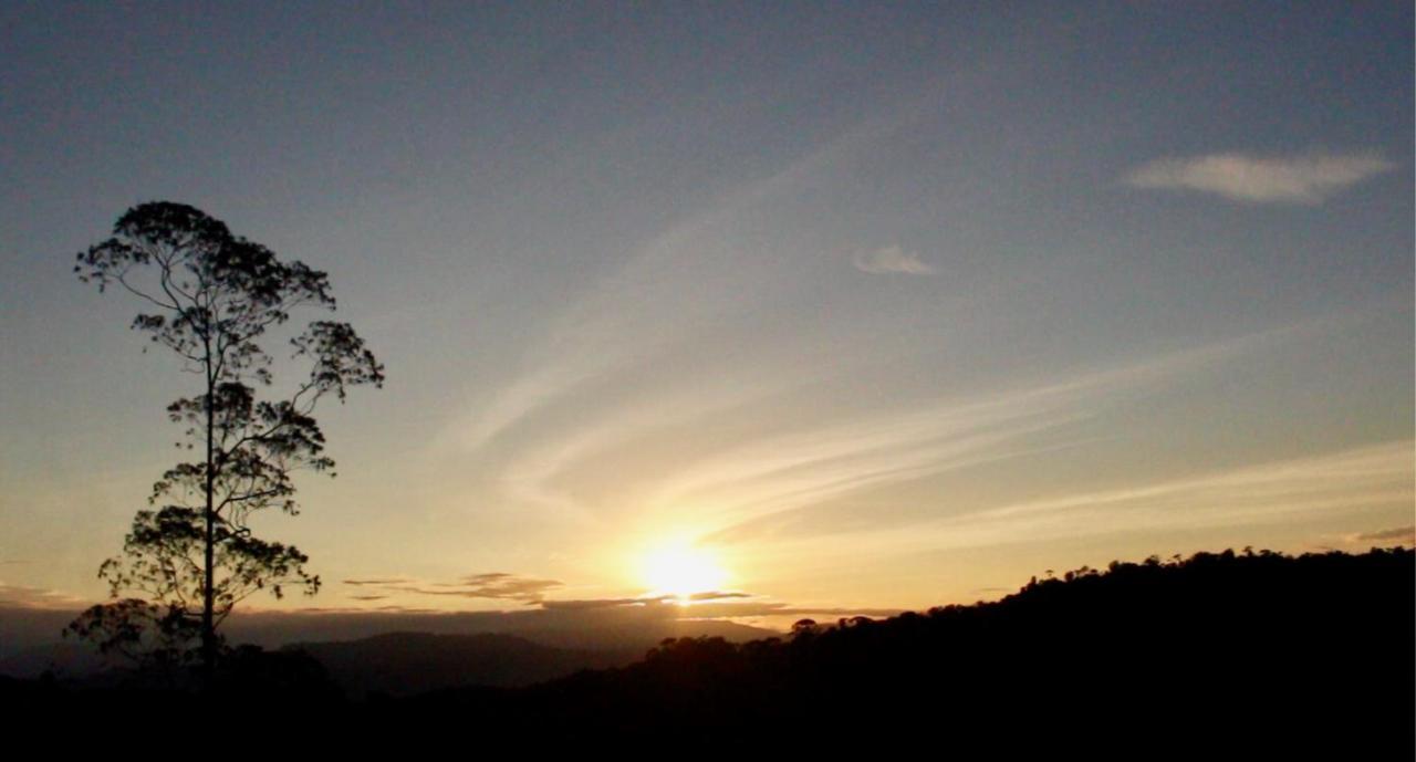 The Lodge At Reventazon River Mountain Ranch Turrialba Extérieur photo