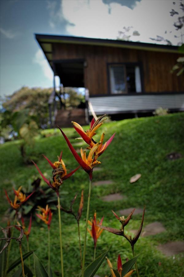 The Lodge At Reventazon River Mountain Ranch Turrialba Extérieur photo